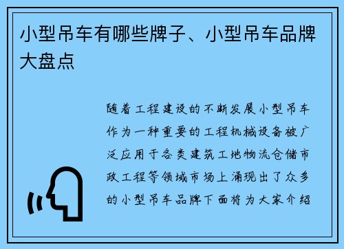 小型吊车有哪些牌子、小型吊车品牌大盘点